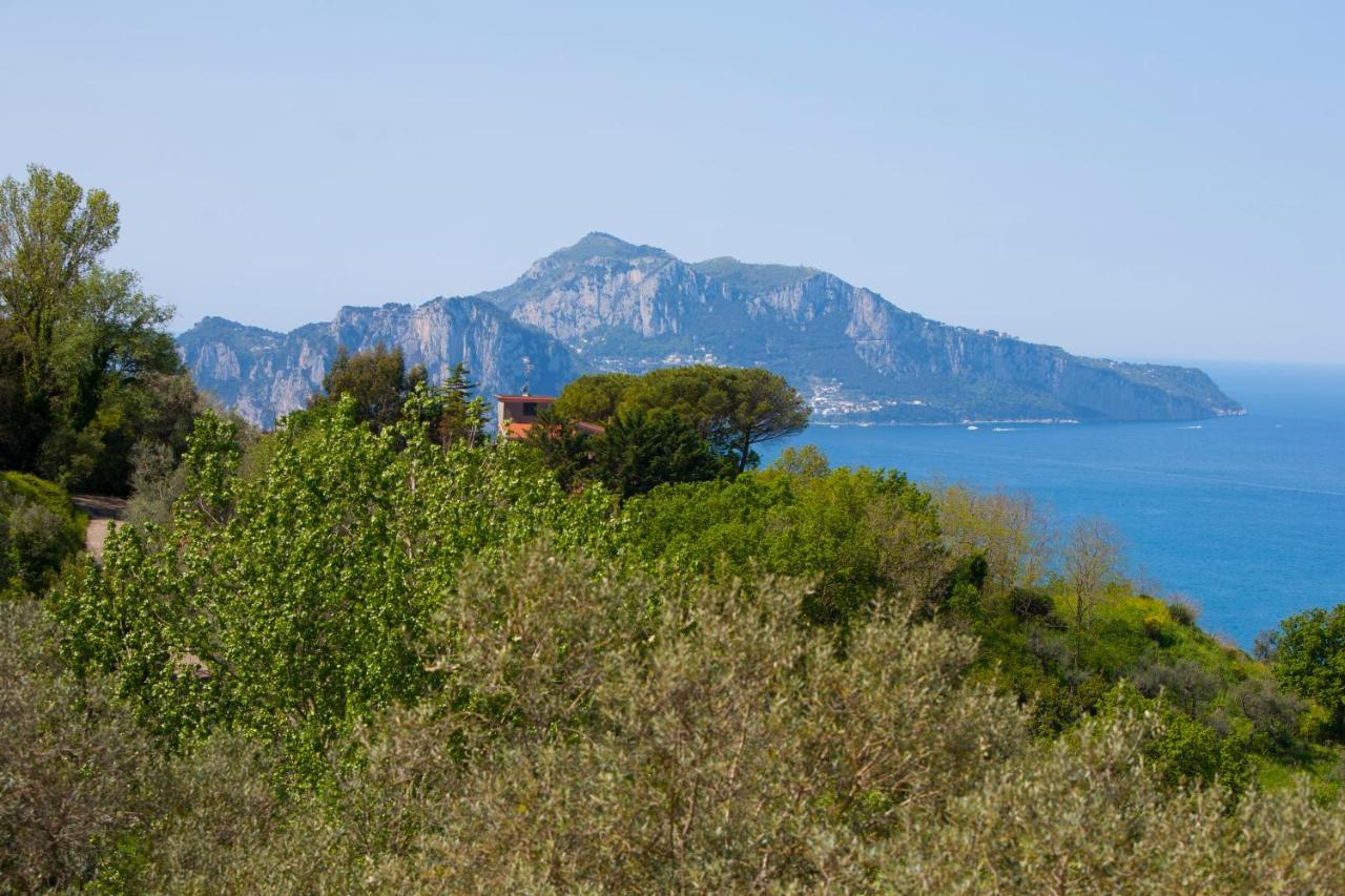 Villa Venus In Penisola Sorrentina Massa Lubrense Exterior photo