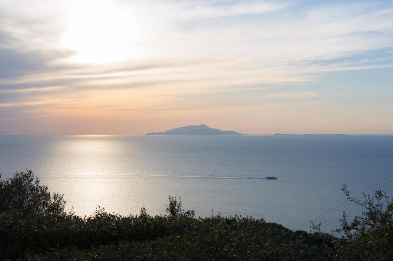 Villa Venus In Penisola Sorrentina Massa Lubrense Exterior photo