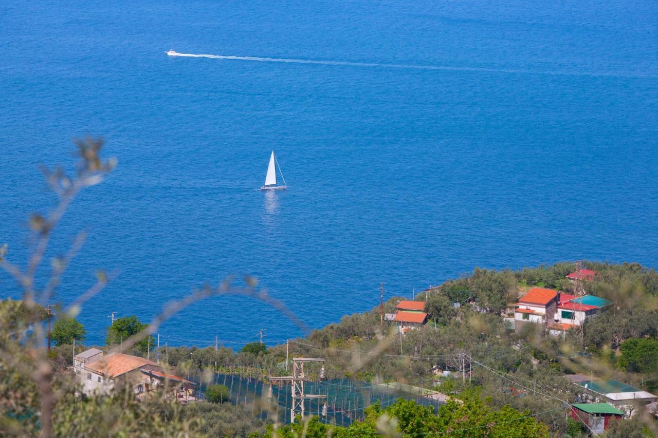 Villa Venus In Penisola Sorrentina Massa Lubrense Exterior photo